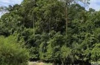 Hibah Kendaraan Bernilai Ratusan Juta Diberikan Kepada 15 Kelompok Tani Hutan